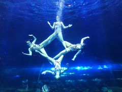 -华夏文旅海洋公园