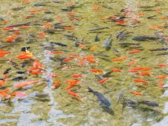 -水磨沟公园