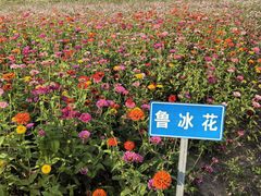 -嘉北郊野公园