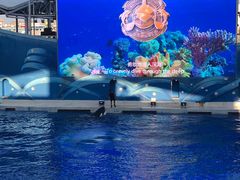 -上海海昌海洋公园