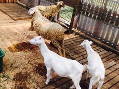 -上海多利农业发展有限公司