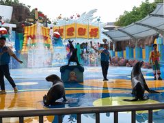 -海合安成都极地海洋公园