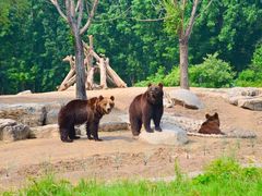 -北京野生动物园