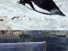 -正佳极地海洋世界