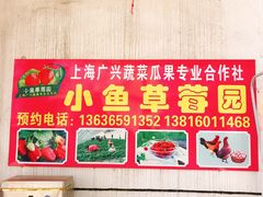 -小鱼草莓采摘园农家乐·小鱼餐厅