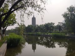 -西海子公园