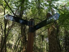 -南京市无想山景区