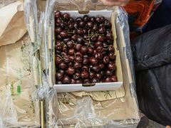 -江杨农产品批发市场