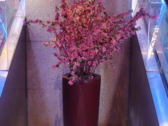 -温莎KTV(国贸店)