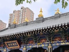 -护国法轮寺