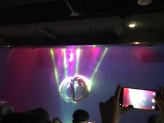 -芜湖新华联大白鲸海洋公园
