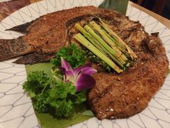 -紫滇源云南生态菜(丹凤街店)