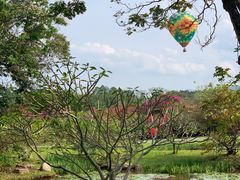 -中国科学院西双版纳热带植物园