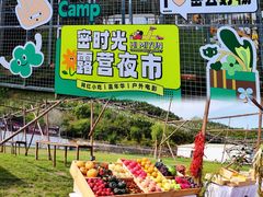 -日光山谷营地乐园