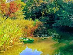 -昆山城市生态森林公园