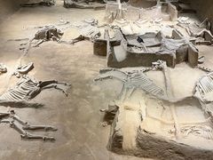 -洛阳周王城天子驾六博物馆