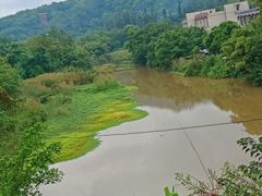 -南宁良凤江国家森林公园