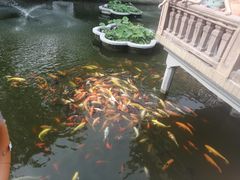 -豫园湖心亭茶楼