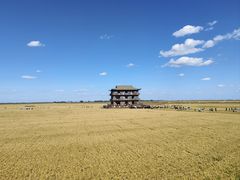 -红海滩国家风景廊道
