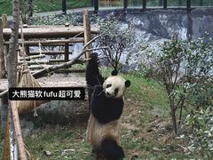-云南野生动物园