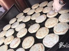 -眼镜粑粑