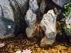 -长春宾馆·丽豪浴都
