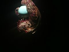 -上海当代艺术博物馆