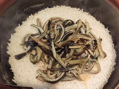 鳝丝煲仔饭-顺德·古草食记(长寿店)