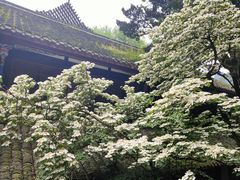 -青城山