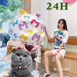 魔都贴心萌宠｜家有萌宠的呵护之旅