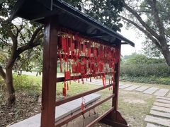 -江心屿景区