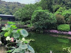 -云溪植物园