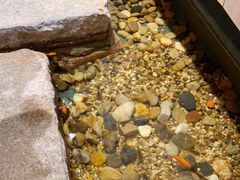 -邈墨茶馆(凤起路店)