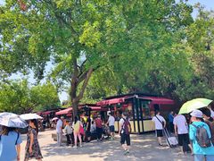 -大雁塔文化休闲景区-北广场