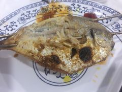 -大萝卜烧烤羊蝎子烤全羊(新城河路店)