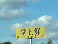 -掌上鲜(南顺城街店)