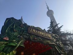 -上海大自然野生昆虫馆