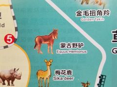 -西安秦岭野生动物园