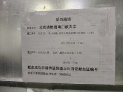 -首都医科大学附属北京儿童医院