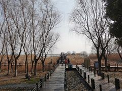 -苏州太湖湖滨国家湿地公园