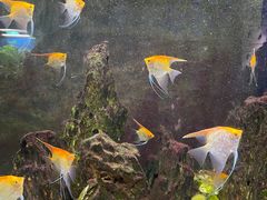 -嘉兴海底世界
