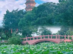 -广州莲花山旅游区