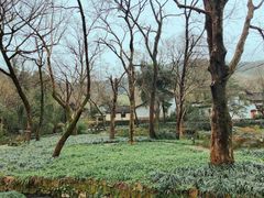 -法云古村