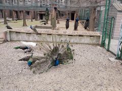 -南京金牛湖风景区