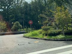 -楠溪江石桅岩
