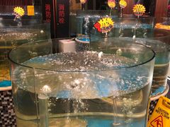 -蓬川食府(金海道店)