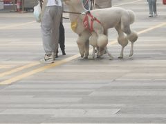 -太原茂业天地购物中心