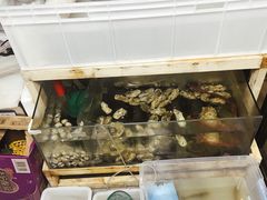 水产区-阿杰臻选海鲜饭店(普陀山店)