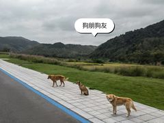 -东钱湖旅游度假区