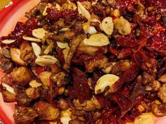 -柴窝堡22号辣子鸡·传承新疆菜